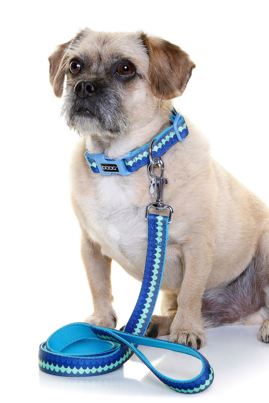 Neoprene Dog Collar