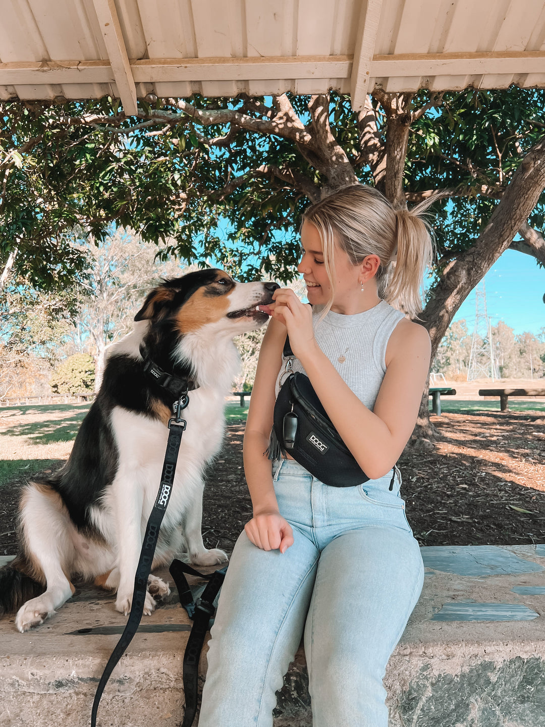 Clip-It Dog Leash